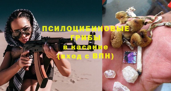 а пвп мука Алзамай