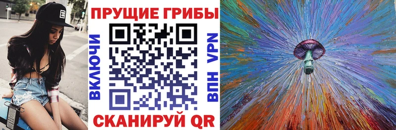 Галлюциногенные грибы GOLDEN TEACHER  купить наркотик  Абаза 